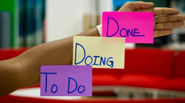 person holding purple and pink box